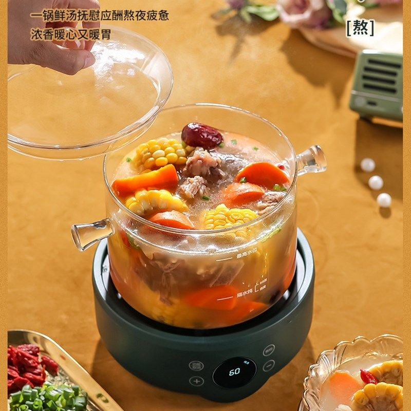 110V伏玻璃养生壶多功能家用燕窝机隔水炖盅电炖锅煮茶壶小家电器