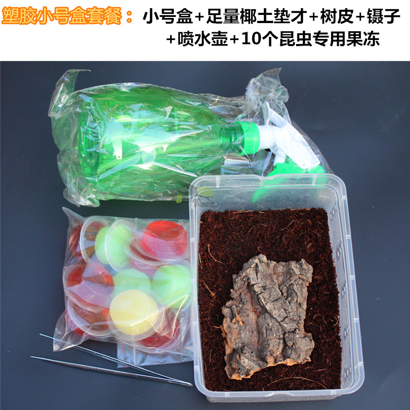 独角仙成虫甲虫爬宠饲养套餐 亚克力透明塑料大号守宫爬宠饲养箱