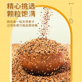 虎皮鹦鹉饲料芦丁鸡鸟食五色黍子鸟粮鸟用品混合粮食牡丹玄凤鹦