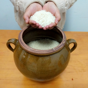 装猪油罐老式家用油坛带盖耐高温蜂蜜专用陶瓷罐盐罐大容量土陶罐