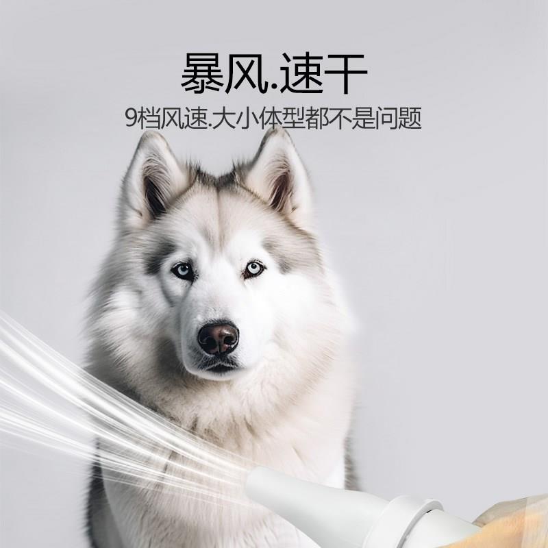 宠物吹水机狗狗吹风机大功率低音店家用烘干箱大型犬专用狗毛神器