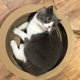 大号碗型猫抓板窝瓦楞纸碗型猫窝猫抓盒猫抓碗猫咪用品 猫爪板窝
