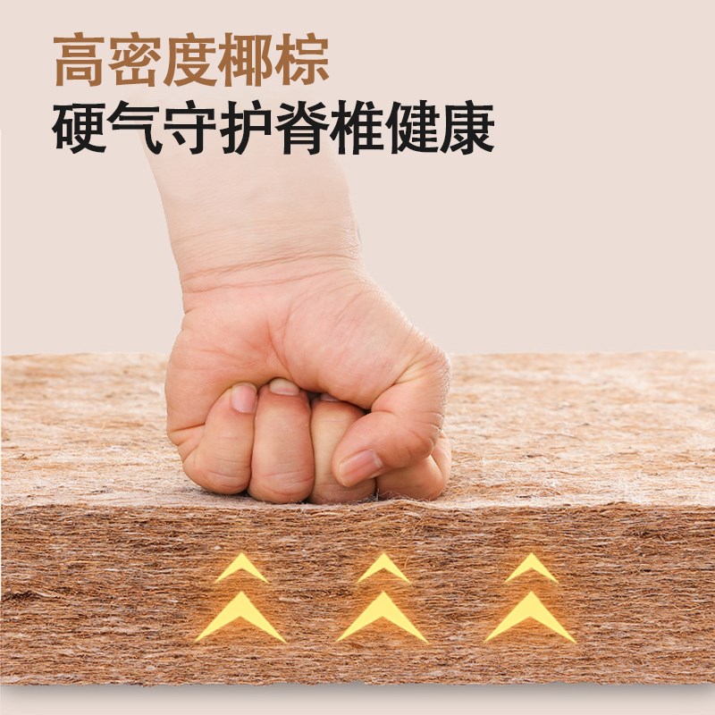 椰棕床垫护腰脊加硬神器纯天然粽榈家用儿童薄乳胶10cm可折叠定做