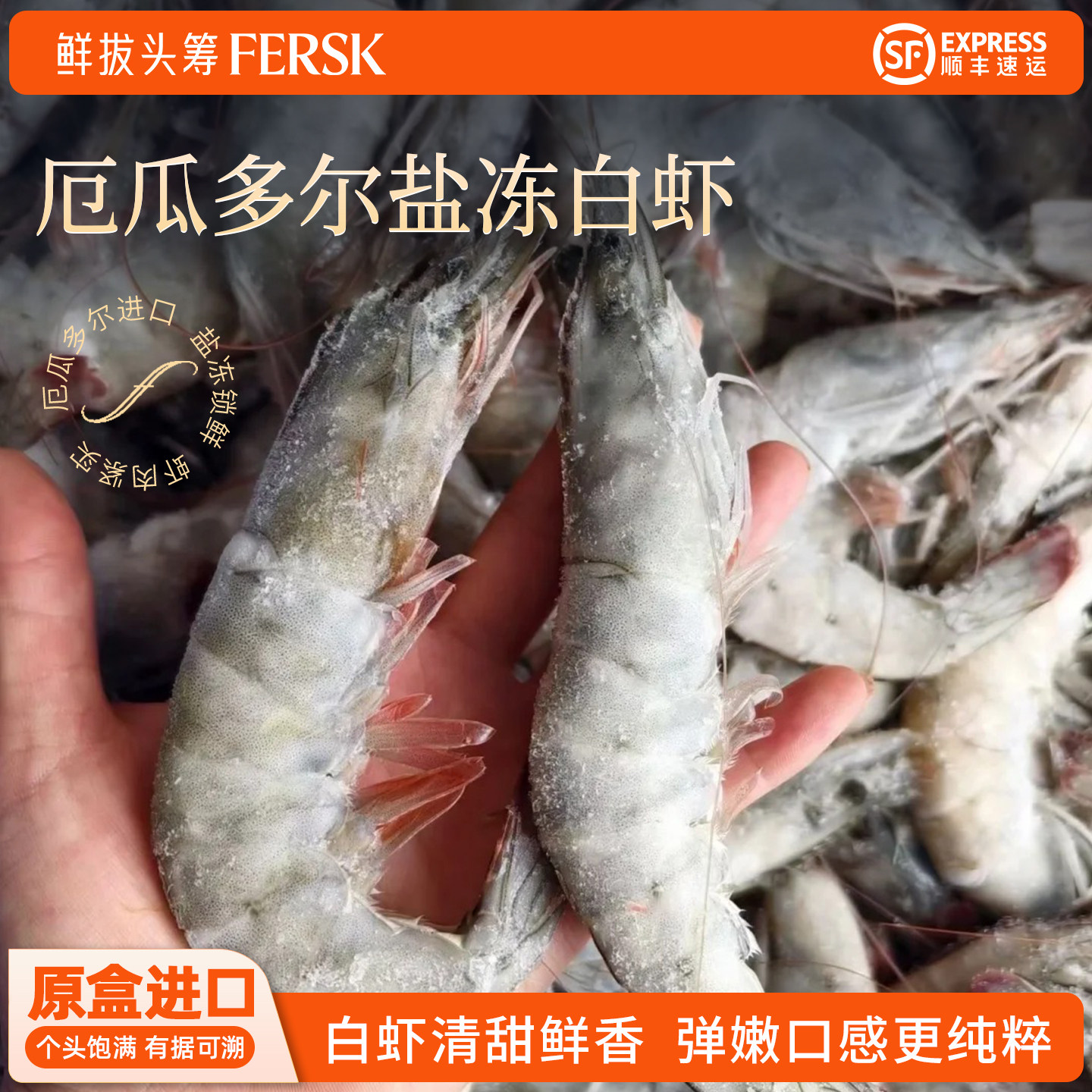 鲜拔头筹厄瓜多尔白虾3.3斤图片