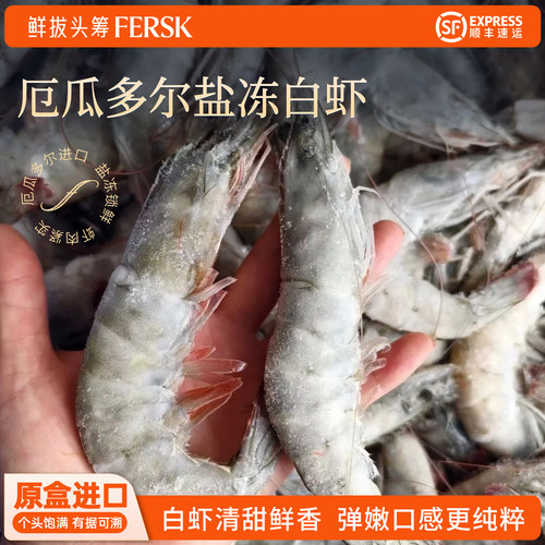 鲜拔头筹厄瓜多尔白虾3.3斤
