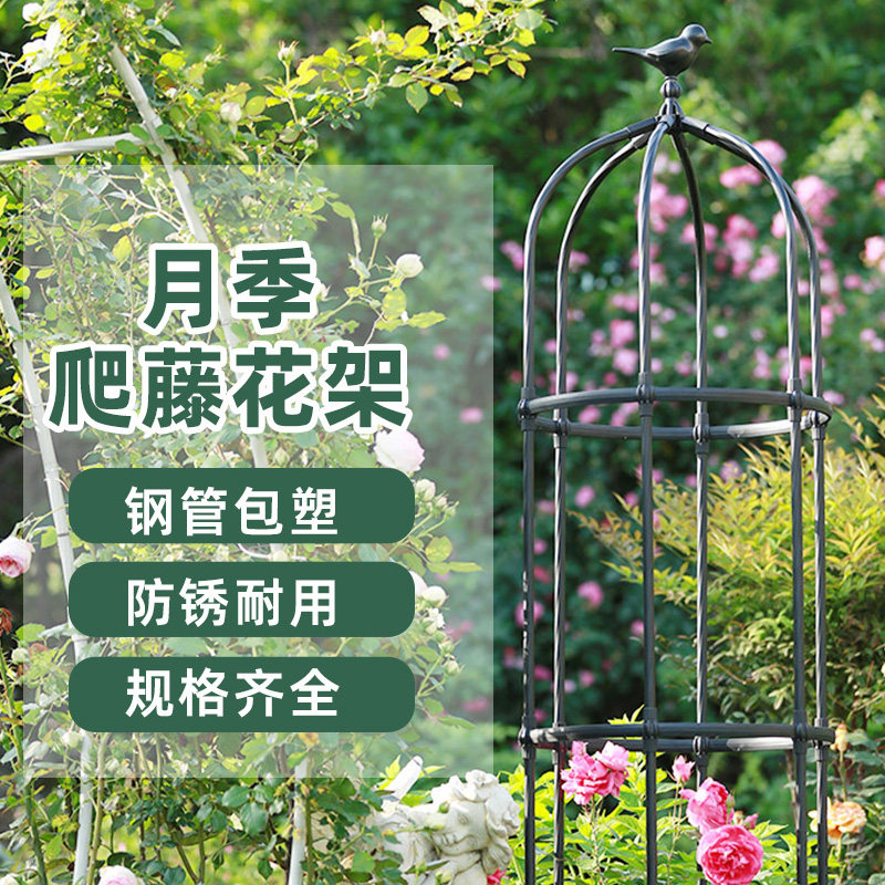 升级款小鸟玫瑰月季爬藤架植物爬藤架户外园艺攀爬花支架造型花架