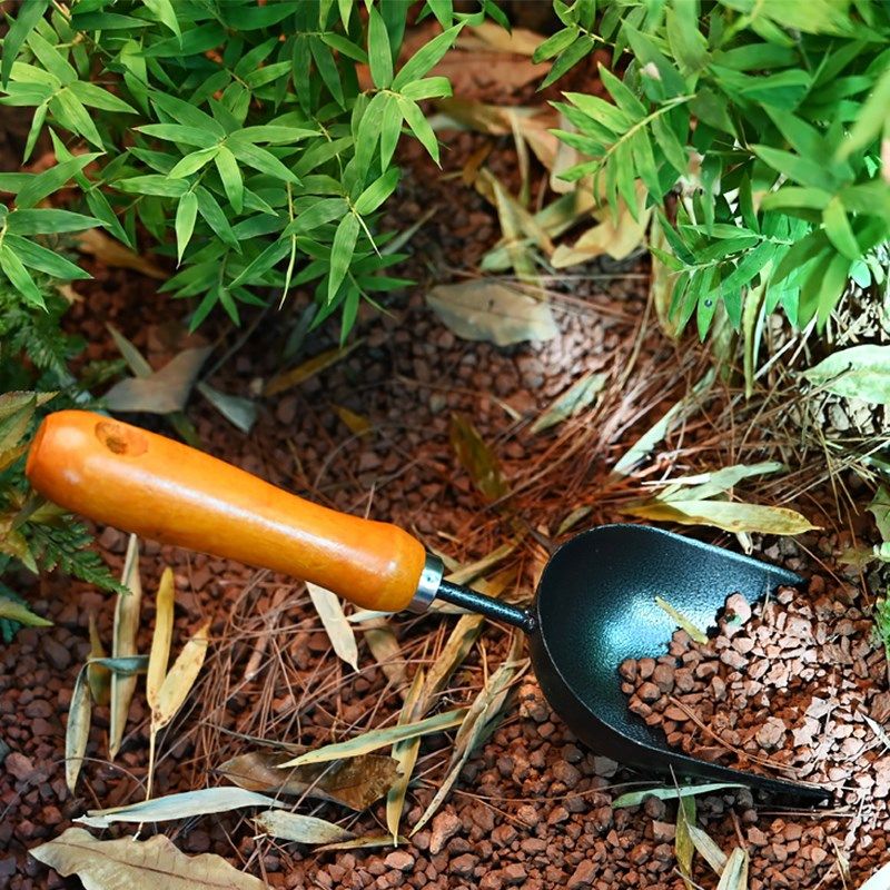 黄缘龟箱环境造景专用铁铲子沙铲松土用爬宠箱种花草植物清洁工具,宠物/宠物食品及用品,爬宠清洁及日用品,淘宝优惠券,粉丝福利购,淘宝优惠卷