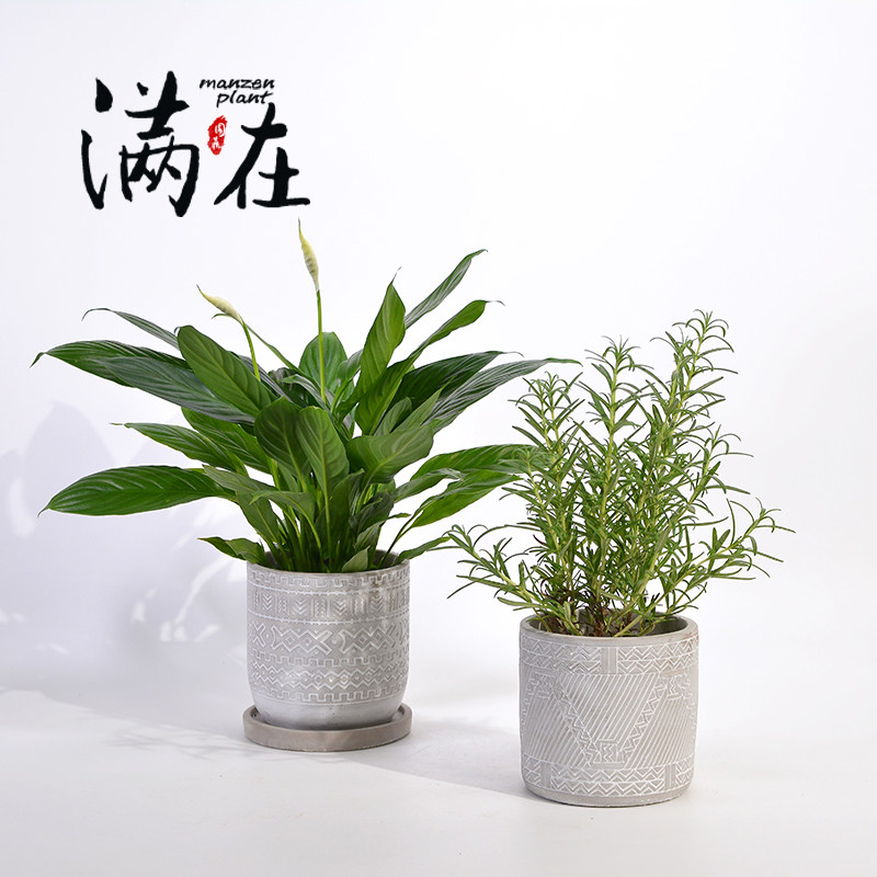 满在复古水泥花盆创意简约几何北欧风家居软装多肉绿植花卉盆栽花,鲜花速递/花卉仿真/绿植园艺,花盆,淘宝优惠券,粉丝福利购,淘宝优惠卷