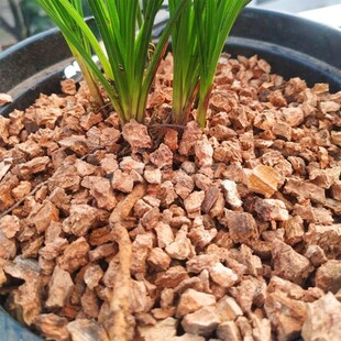 发酵青冈树皮兰花植料兰花土营养土石斛种植土基质介质铺面颗粒土