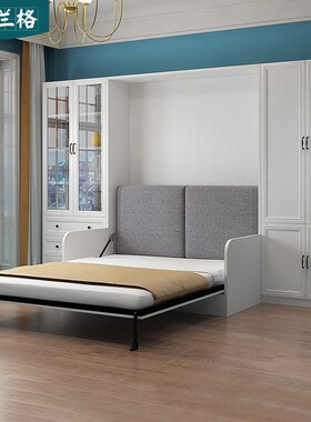客厅多功能隐形床衣柜一体壁床带沙发双人床书柜组合定制9CH-221