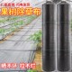 果树防草布除草布耐用抑草遮草布透水抗老化保湿 地膜布地钉防草布