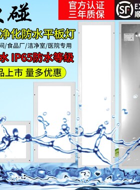 30*120led净化洁净平板灯防水灯3*6无尘车间食品厂医院明装吸顶薄