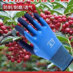 摘酸枣神器捡板栗手套伸缩杆防刺专用工具大全核桃花椒剥不扎手