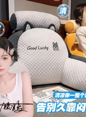 权溪家居夏季冰豆豆靠背SY床头靠垫护腰靠枕沙发抱枕床汽车靠枕Y8