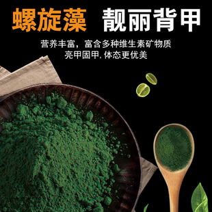 猪鼻龟饲料下沉龟粮黄头侧颈龟剃刀龟专用猪鼻龟料沉底水龟粮食物