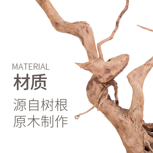 Reptizoo饲养缸睫角树栖爬虫造景爬宠天然树根鱼缸造景杜鹃根摆件