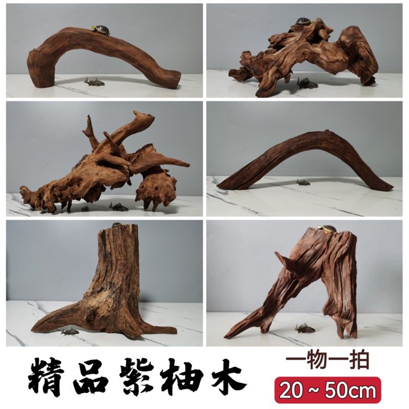 淡水性笔记50CM以内沉木鱼缸造景天然拱桥树桩乌龟晒台紫柚木免煮