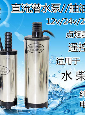12V24V220V伏潜水泵电动微型抽油泵柴油泵水泵抽水机直流电瓶泵