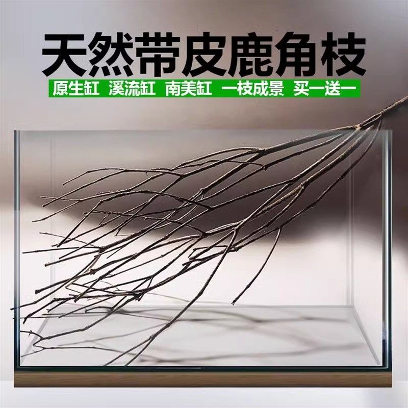 买一送一原生缸南美缸造景树枝天然精品鹿角枝鱼缸装饰一木成景,宠物/宠物食品及用品,造景/装饰,淘宝优惠券,粉丝福利购,淘宝优惠卷