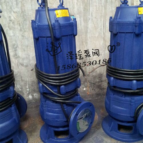 上海QW潜污泵无堵塞排污泵QW40-15-30-2.2,50-18-30-3,65-37-13-3