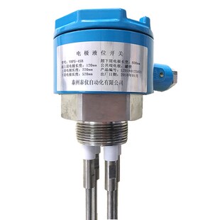 电极式液位水位开关控制器不锈钢电极棒探极探头液位计水位计