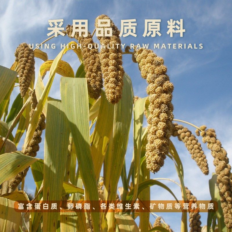 营养熟蛋米虎皮玄凤鹦鹉鸟粮文鸟玉鸟饲料蛋黄米谷子无壳幼鸟鸟食,宠物/宠物食品及用品,鸟零食,淘宝优惠券,粉丝福利购,淘宝优惠卷