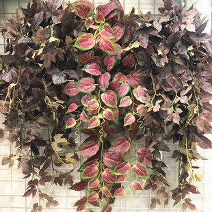仿真秋色藤蔓把束常春藤壁挂枫叶挂藤绿植装饰垂吊墙上爬藤造景
