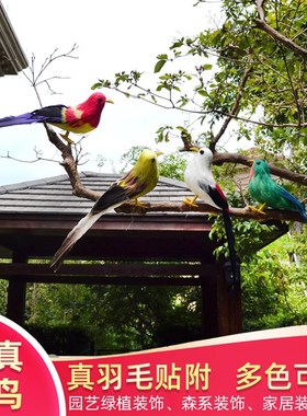 仿真羽毛小鸟道具摆件泡沫假鸟幼儿园环创壁挂花园林橱窗树枝装饰