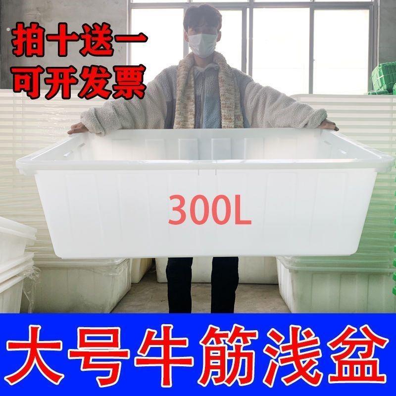 超大加厚牛筋塑料盆长方形浅盆水产养殖箱塑料水桶带盖特厚牛筋桶