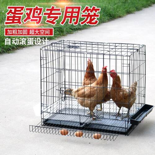 蛋鸡笼子家用大号自动滚蛋养殖笼鸡笼子鸡窝鸡舍鸭笼兔笼鸡笼