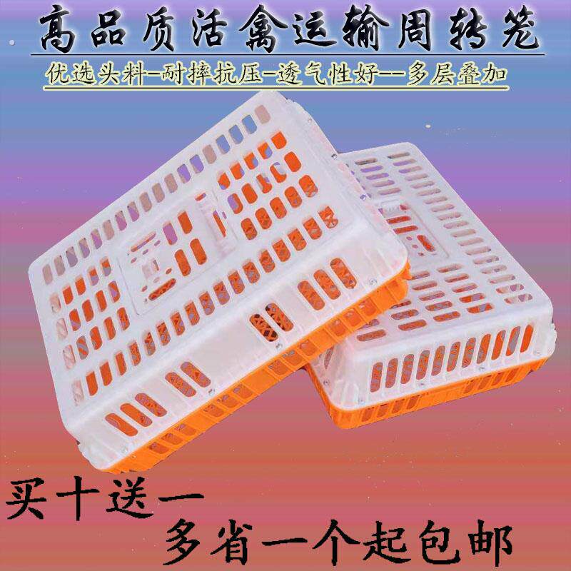 鸡笼加厚成鸡运输笼幼猪笼周转筐特大鸡鸭鹅兔子转运笼透气笼塑料