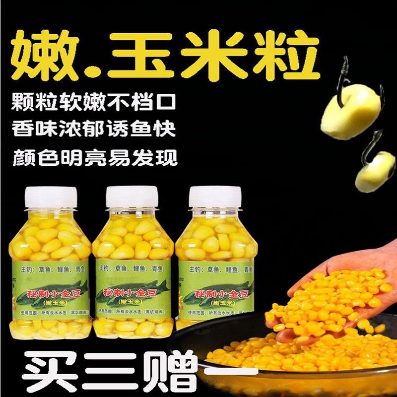 钓鱼嫩玉米粒鱼饵料野钓通杀颗粒夏天水库黑坑大草鱼青鱼鲤鱼专钓,户外/登山/野营/旅行用品,台钓饵,淘宝优惠券,粉丝福利购,淘宝优惠卷