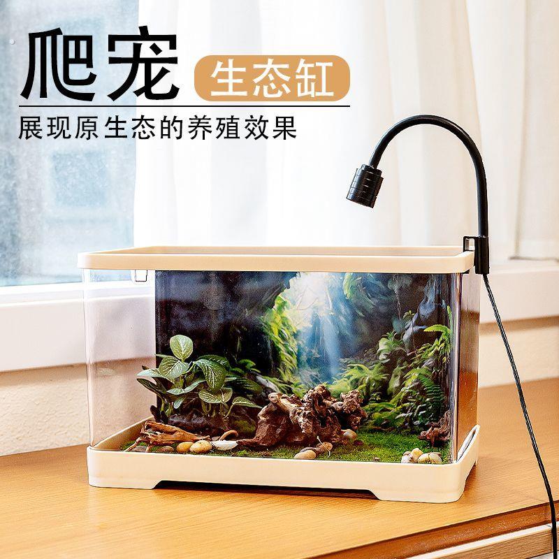 加热保温蜥蜴蜘蛛宠物蛇躲避饲养箱盒宠物豹纹守宫雨林蝎饲养套装