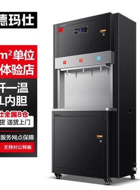 德玛仕直饮水机商用学校单位电热开水机RO反渗透SRZ-60/SRZ-3L-L6