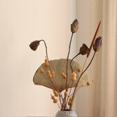 天然真葫芦荷花荷叶干花束原杆莲蓬禅意中式 饰摆件 插花家居客厅装