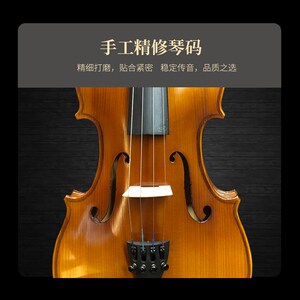 火车说琴提琴圈儿童入门初学半手工实木小提琴