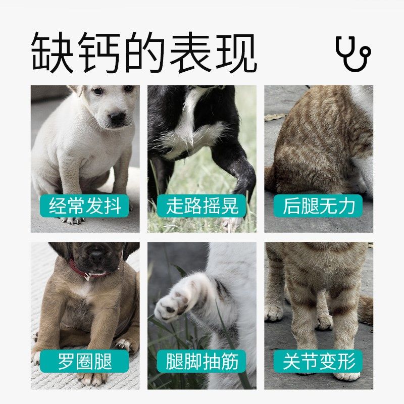 狗狗钙片猫咪补钙健骨大中幼小型犬金毛泰迪折耳猫宠物专用乳钙片,宠物/宠物食品及用品,狗氨基酸/维生素/钙铁锌,淘宝优惠券,粉丝福利购,淘宝优惠卷