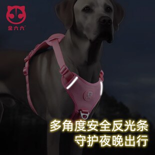 金六六王八壳遛狗狗的牵引绳宠物小中大型犬胸背带防爆冲外出神器