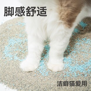 宜宝猫砂除臭珠颗粒猫屎去味神器猫砂盆伴侣猫咪用品猫厕所去味剂