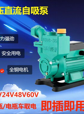 家用直流自吸泵12V24V48V60V抽水泵电动车农用船用水井浇菜高压泵