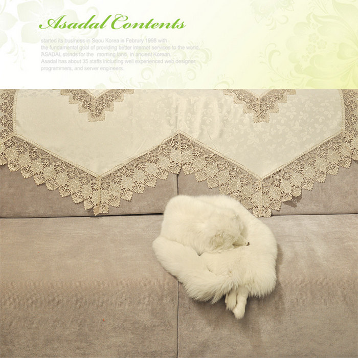 欧式四季沙发巾靠背蕾丝布艺沙发扶手巾防滑组合沙发后背巾全盖布