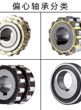 摆线针轮减速机整体偏心轴承RN307摇摆RN205206309312圆柱滚子