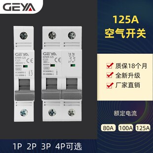 GEYA格亚GYM9小型交流断路器125A空气开关1P2P单汇流排过载保护AC