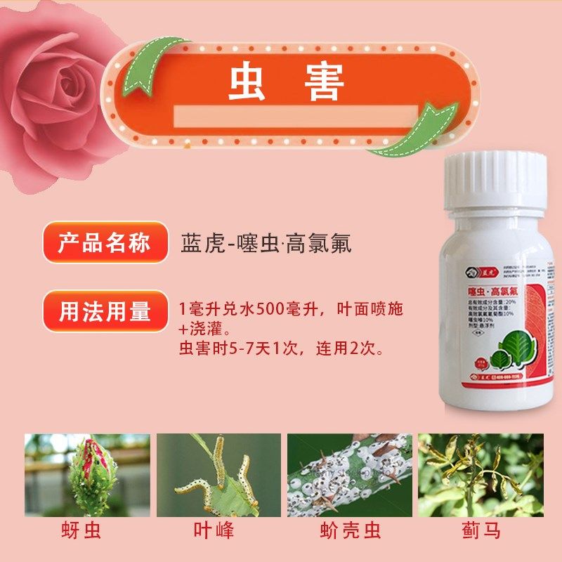 农邦主园艺养护套餐花卉通用杀虫除螨白粉病蚜虫小黑飞红蜘蛛黑斑,鲜花速递/花卉仿真/绿植园艺,家庭园艺肥料,淘宝优惠券,粉丝福利购,淘宝优惠卷