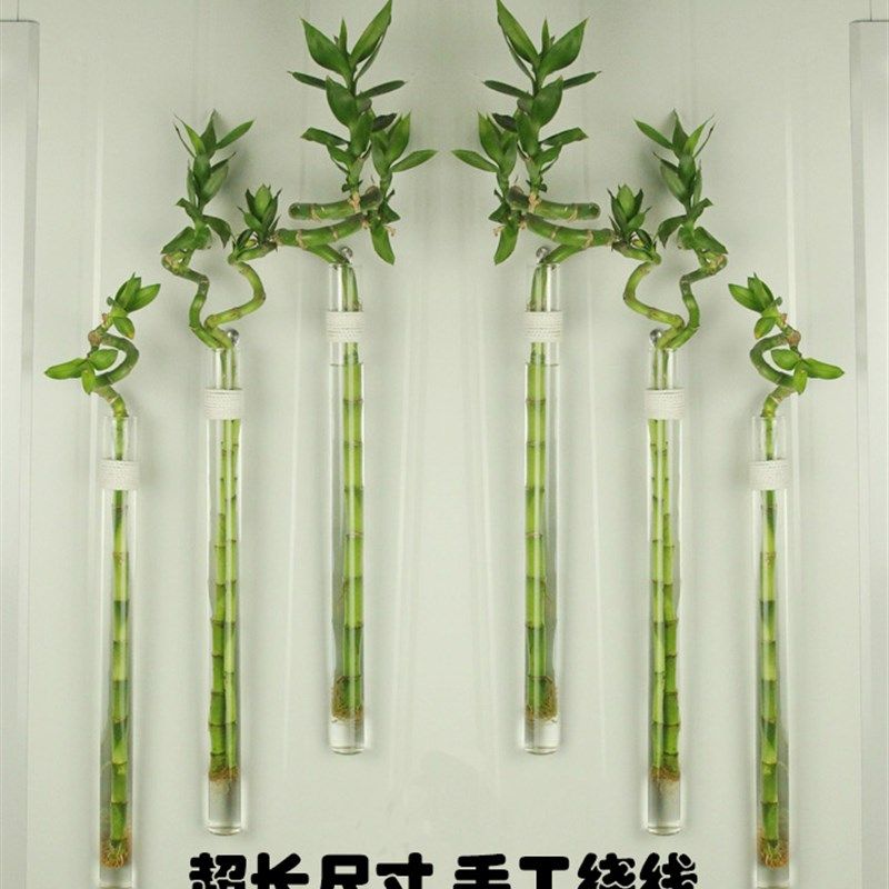 创意田园壁挂转运竹水培麻绳玻璃花瓶工艺小花插挂件家居墙面装饰,家居饰品,花瓶,淘宝优惠券,粉丝福利购,淘宝优惠卷