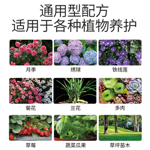 海蒂的花园施奇黄叶必治铁氨基酸微量元素肥料促根绿叶肥水溶肥料