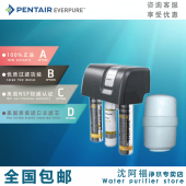 爱惠浦RO反渗透纯水机厨房商用家用制冰咖啡机双出水净水器