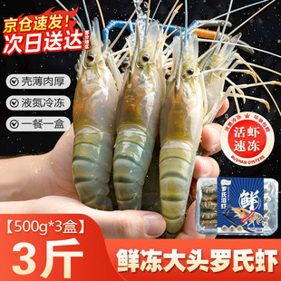 百鲜洽罗氏虾鲜活冷冻新鲜大头虾超大虾巨型淡水河虾海鲜水产虾类