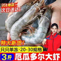 原装进口特大厄瓜多尔白虾盐冻大虾南美白虾海虾单冻多规格可选