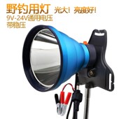 24V钓鱼灯夜钓头灯强光大光圈夹电瓶外接灯led黄光头戴灯 12V